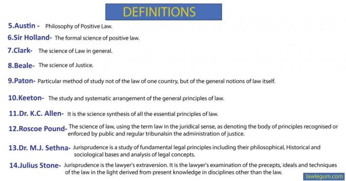 Jurisprudence