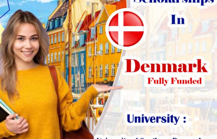 Danish government scholarship s2 2