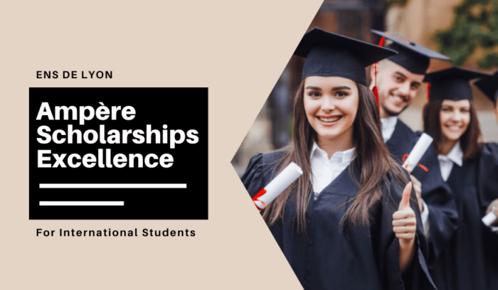 Ampre scholarships of excellence universit de lyon s2 1