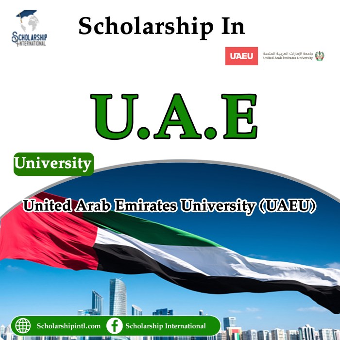 United arab emirates university ph d scholarship s3 1