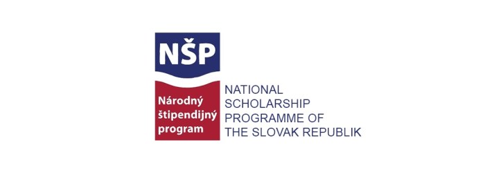 Scholarship slovak government