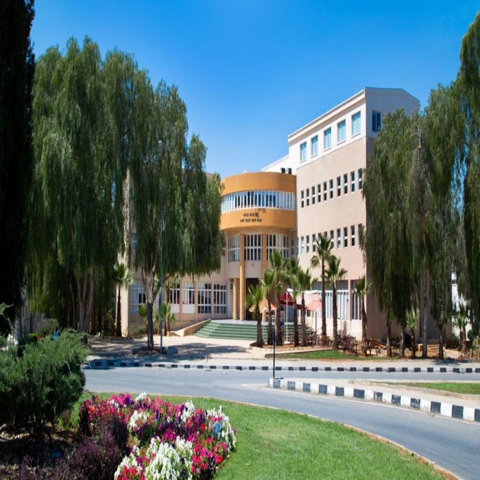 Beasiswa s2 dan s3 di eastern mediterranean university turki