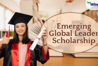 American university emerging global leader scholarship beasiswa kuliah s1