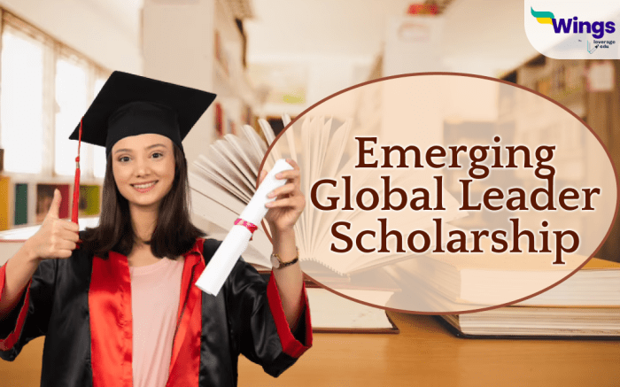 American university emerging global leader scholarship beasiswa kuliah s1