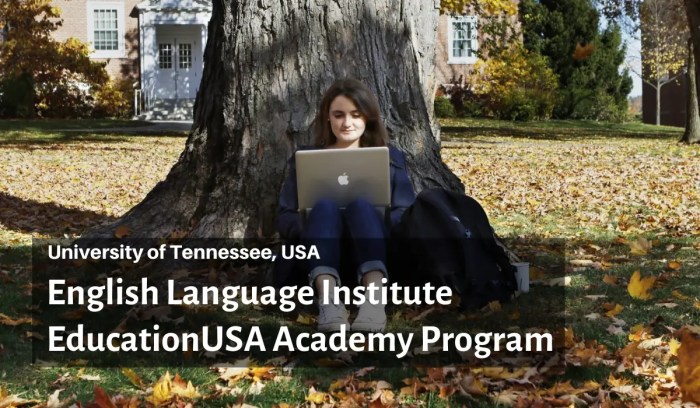 Institute english educationusa academy language program scholarship positions