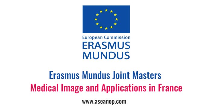 Erasmus medical imaging and applications maia s2 1