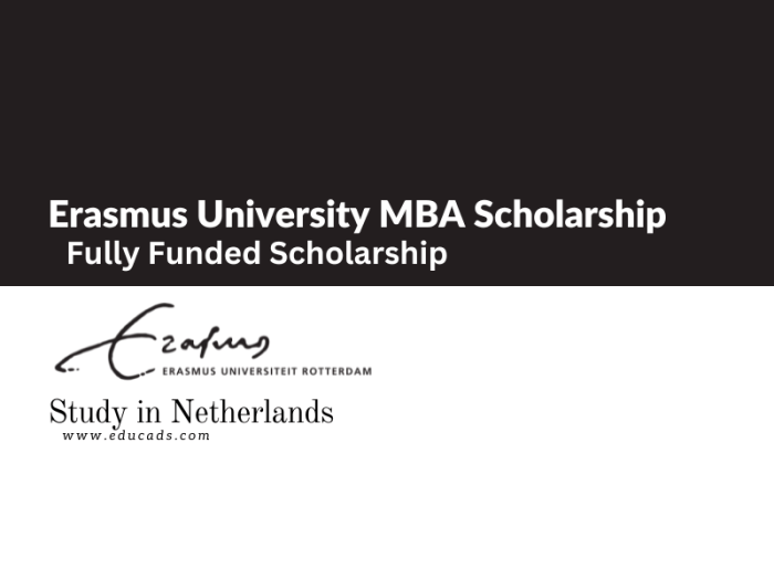 Erasmus mundus scholarship