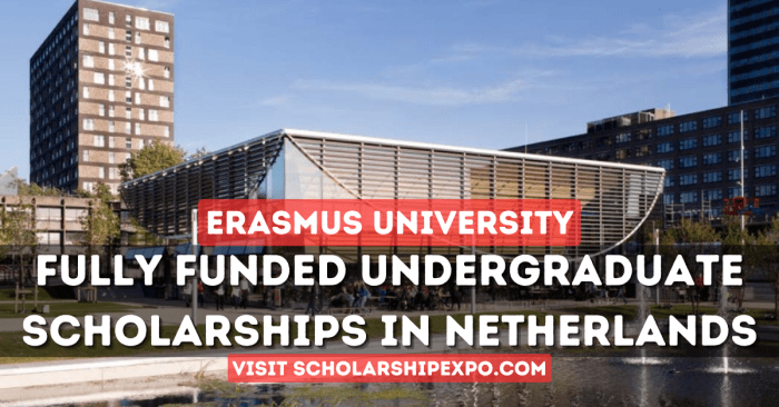 Holland scholarship netherlands masters bachelor partial