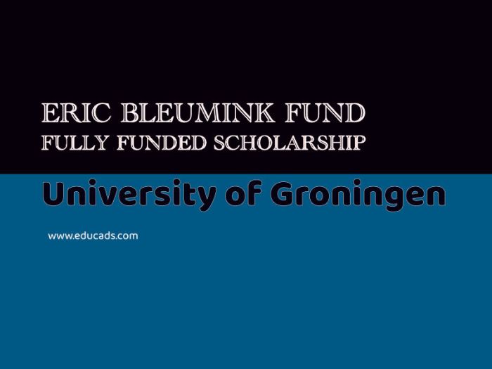 Eric bleumink fund university of groningen s2 1