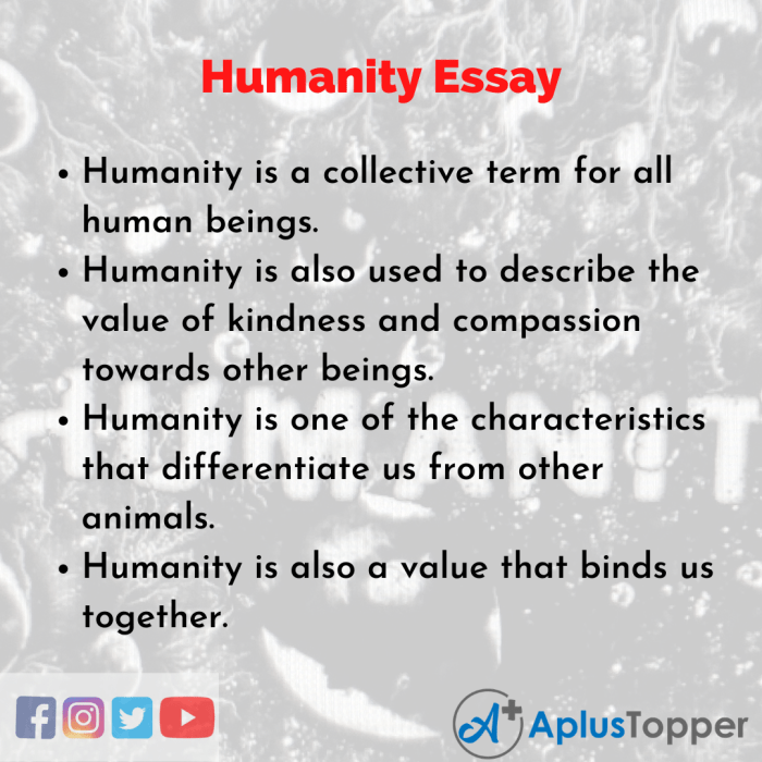 Humanity essay aplustopper