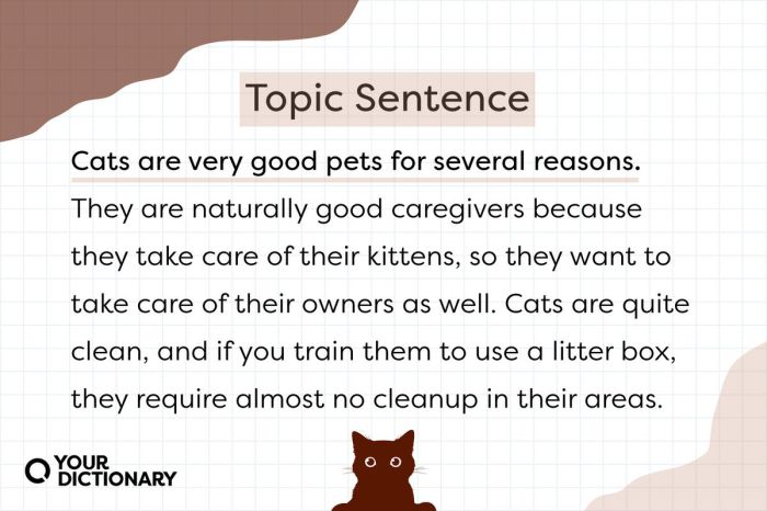 Topic sentence sentences academic good write english