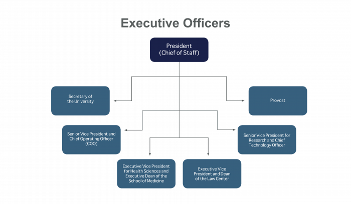 Chart organizational university leadership diagram sample executive example flowchart examples