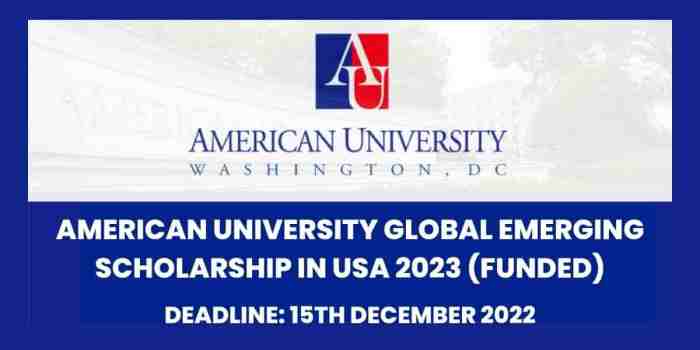 American university emerging global leader scholarship beasiswa kuliah s1