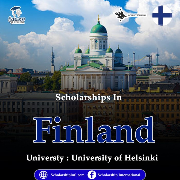 Finland scholarship university helsinki copy s2 1 N7qmG