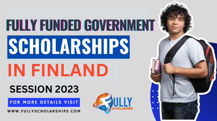 Finland turku scholarship