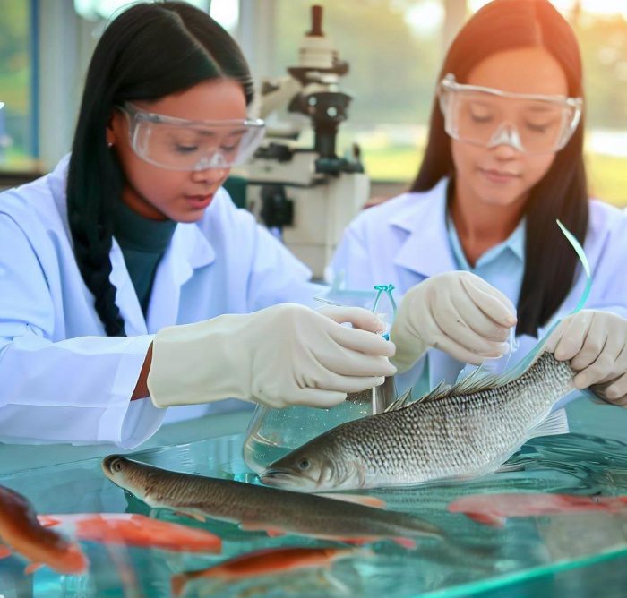 Fakultas perikanan dan ilmu kelautan undip