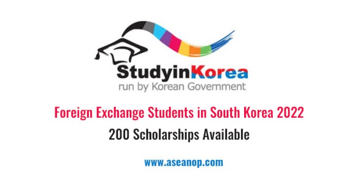 Korean government support program for foreign exchange students snu nondegree 1