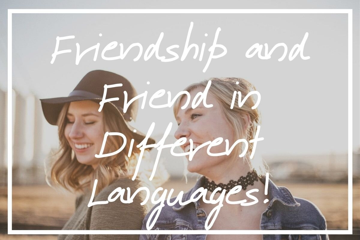 Friendship artinya dalam bahasa indonesia