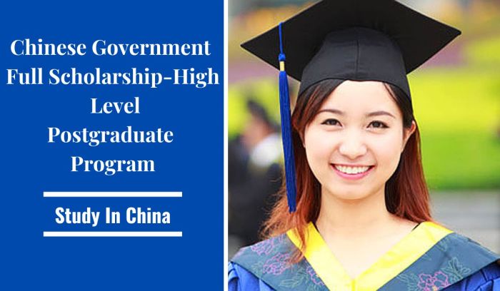 Scholarship chinese government cas fellowship twas china council csc procedure updated november last