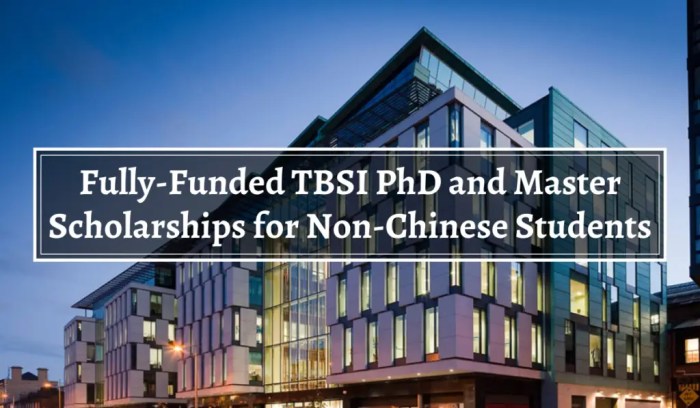 Tsinghuaberkeley shenzhen institute international student scholarships s3 1