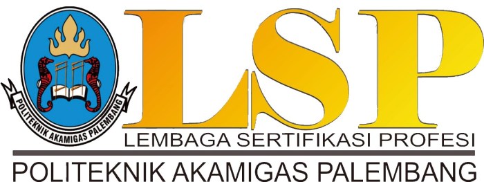 Universitas palcomtech palembang