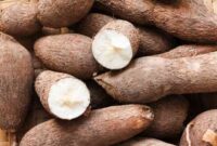 Tapioca cassava root health powder benefits kappa features buy flour good 1572 preview healthyliving natureloc jamieoliver