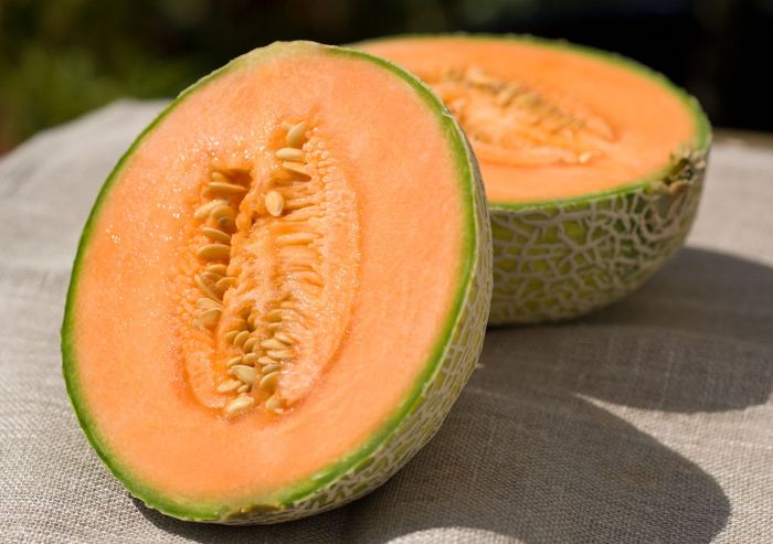 Cantaloupe ripe