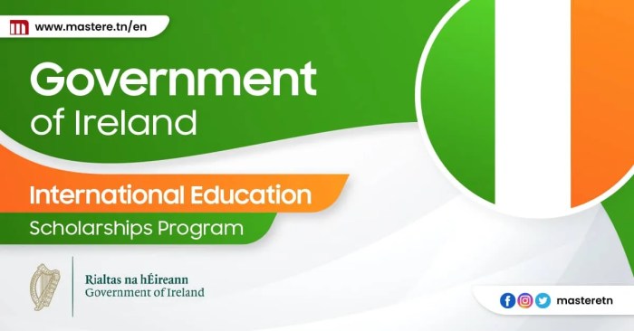 Government of ireland international education scholarships goi ies s2 1