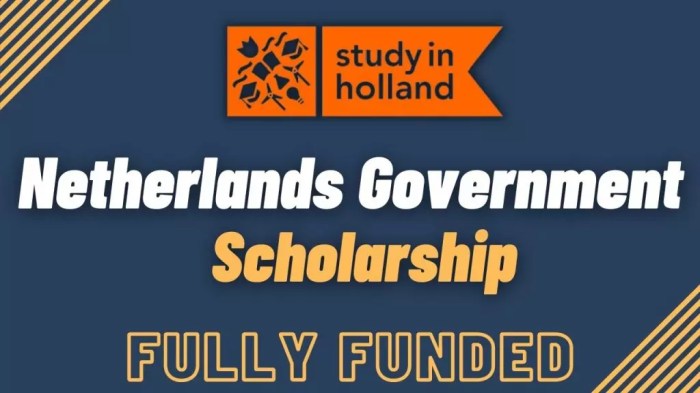 Leiden university excellence scholarship l ex s leiden university s2 1