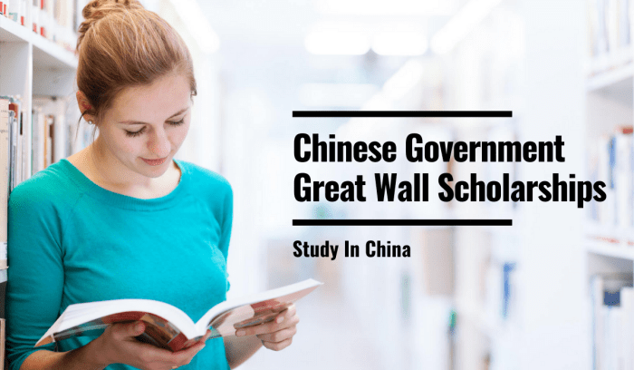 Scholarships bilateral government chinese international students