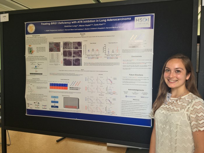 Harvard stem cell institute internship program hip nondegree 1