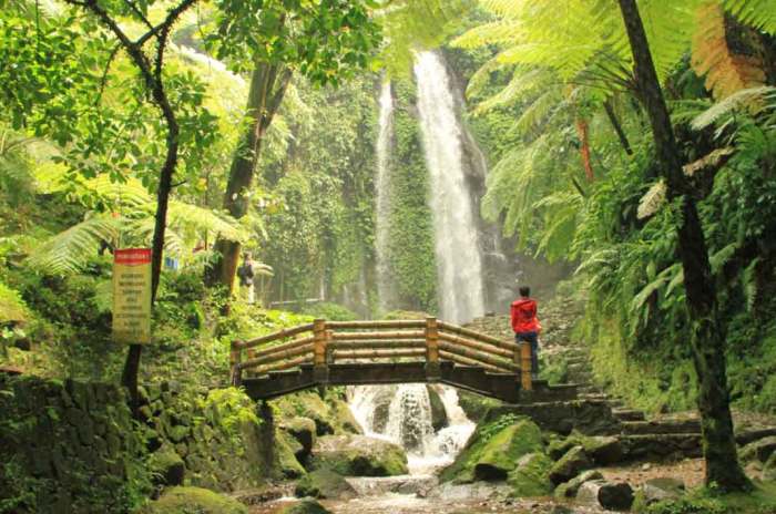 Universitas yang ada di pekalongan