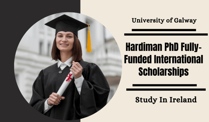 Hardiman phd scholarship s3 1