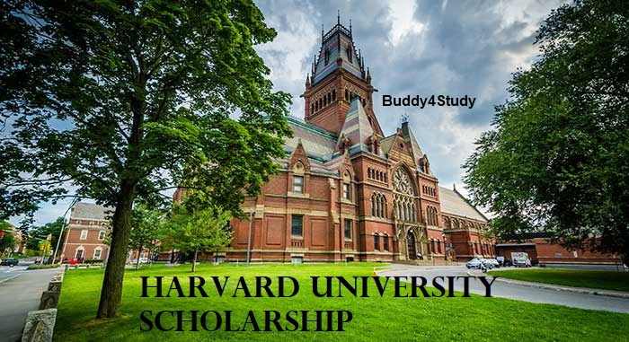 Phd scholarships