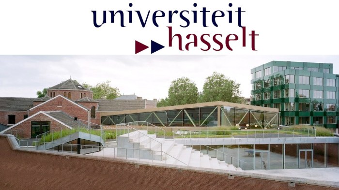 Master mind scholarship hasselt university s2 1