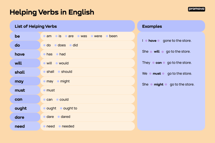 20 kata bantu dalam bahasa inggris