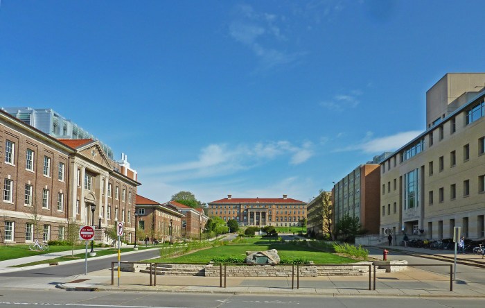 Universitas uisu