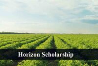 Scholarships