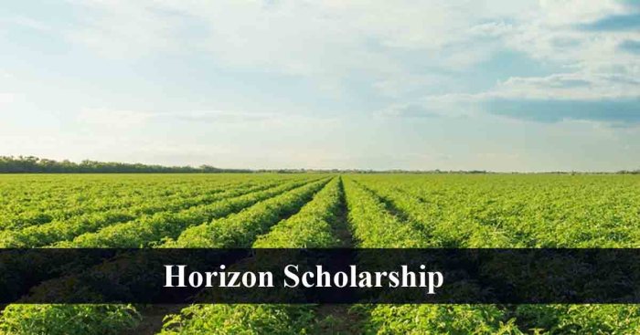 Scholarships