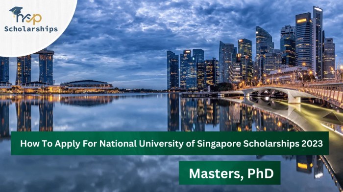 Beasiswa s2 di national university of singapore jurusan international affairs