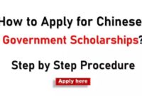 Chinese government scholarship csc scholarship s1 1