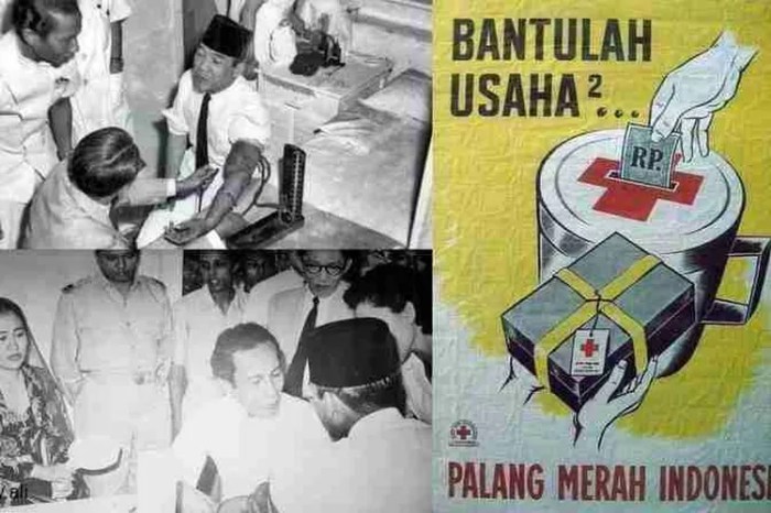 Materi sejarah pmi