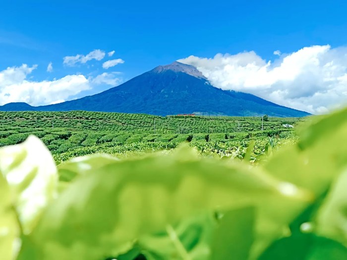 Sejarah kerinci