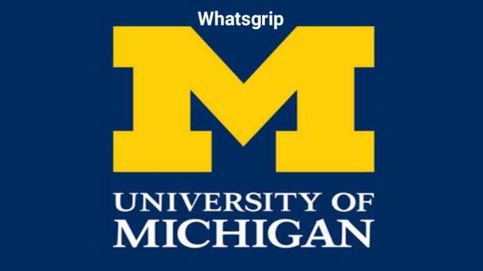 University of michigan s1 1