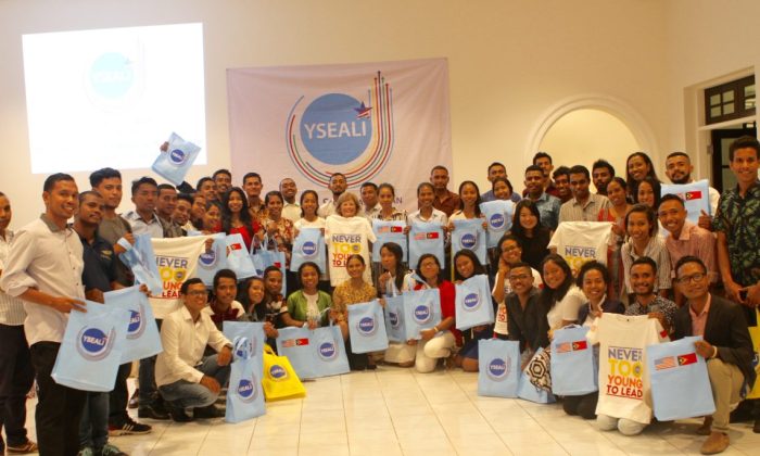 Yseali program fellows professional