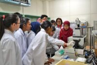 Ims internship program winter nondegree 2