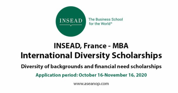 Management school mba international scholarship france