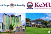 Universitas kedokteran swasta terbaik di indonesia