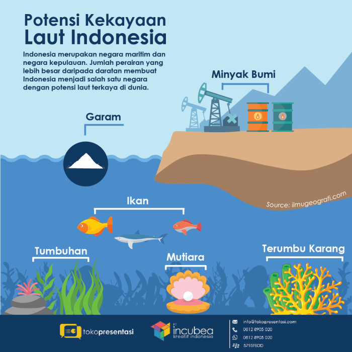 Infografis sejarah indonesia