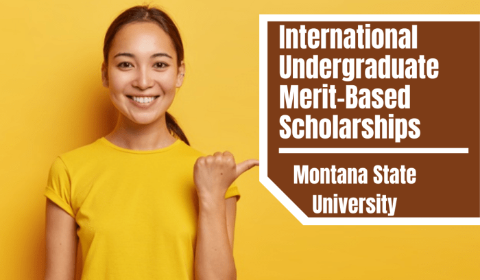 International undergraduate meritbased scholarship montana state university copy s1 2 6vh2j